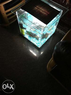 Brand new coffee table / side table aquarium with