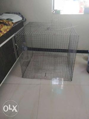 Breeding size cage for all birds