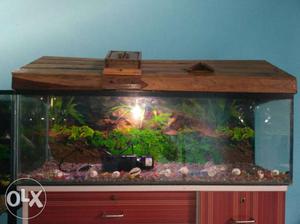 Brown Wooden Framed Fish Tank