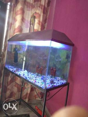 Fish aquarium contact number