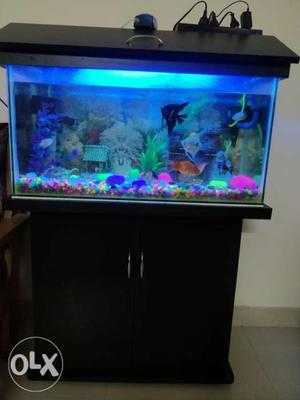 Fish aquarium fully equipped