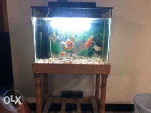 Fish tank 2*1 feet