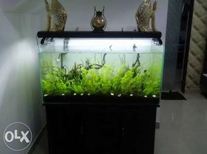 Fish tank full set (with motor,table,fishes)