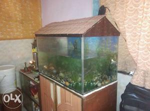 I am selling my fish tank. If interested pm me.