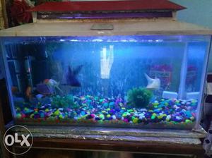 I want to sale my aquarium with toys light filter