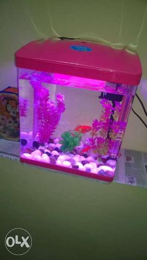 New fish tank 5ltr last 2 months back purchase.