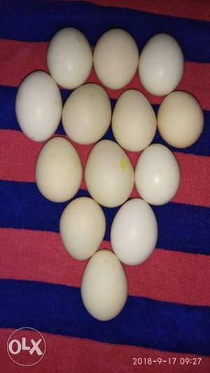 Pure Deshi Hen Fresh Eggs 120/ ₹ Dozon