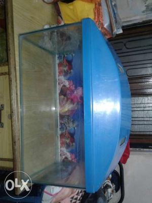 Rectangular Fish Tank With Blue Plastic Lid