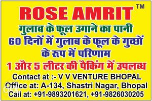 Rose Amrit