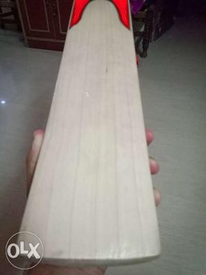 This Light Weight cricket bat is Awesome and