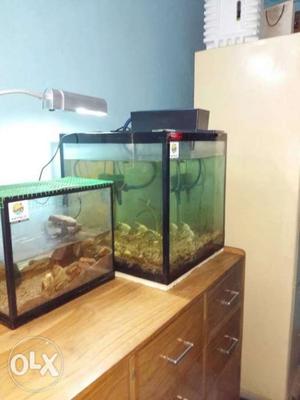 We give new aquariums small is for  and big