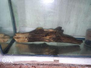 Aqurium Draftwood size Suitable 1.5 feet tank