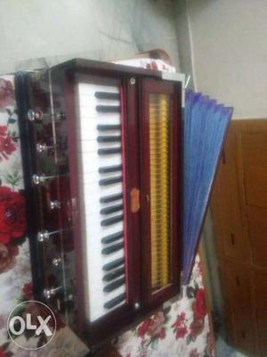 Brand New Bina harmonium one month old