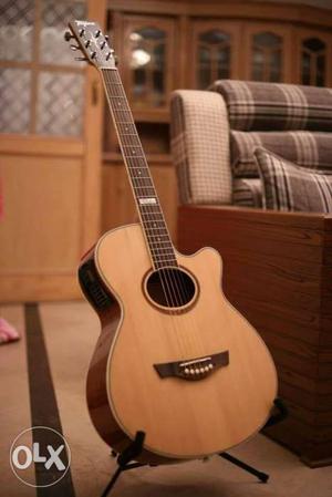 Cheap Rate Brand New Guitar with Bag.
