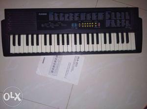 Electronic musical instrument sparingly used