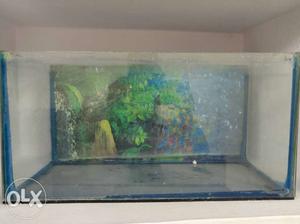 Fish Tank Dimensions -1.5ft * 1ft * 1ft