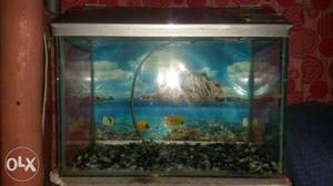 Fish tank malegaon balbag