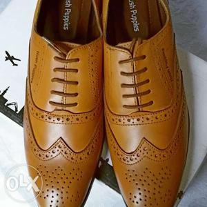 Fully leather Brock shoes available all size