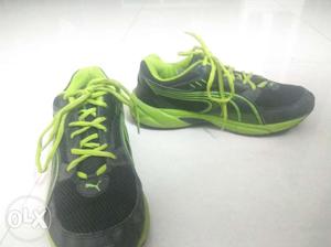 Puma Shoes, Size:6 (25 cm)