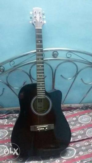 I want to sell my Ashton Semi Acoustic guitar,