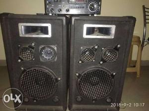  W PMPO, with amplifier pure wood speaker,