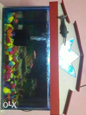 4months of aquarium with filter n motor n fishes