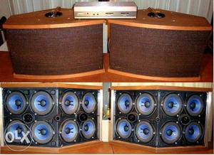 Bose 901 mark 5 speaker with pretty equlizar four 9