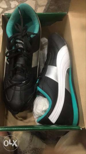 Brand new puma shoes not used