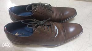 Gabicci Branded Formalshoes, Royal oak, size-9