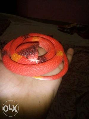 It is a rubber snake toy it was good condition 6