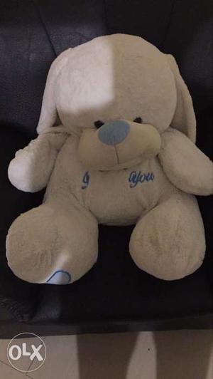 Teddy bear white, 2 months used