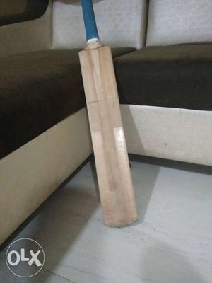 English Willow cricket bat