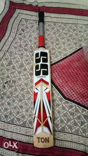 SS Cricket bat English willow
