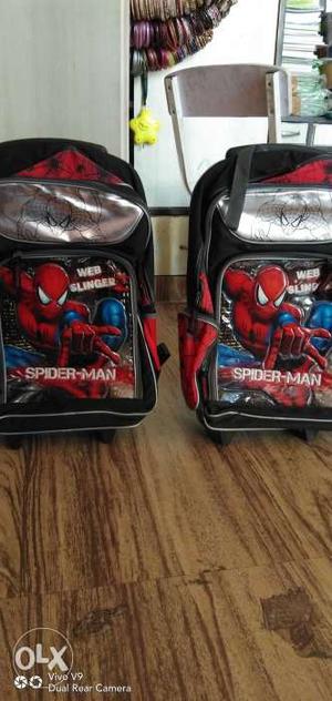 Spiderman Trolley school bag 5 pc available 18