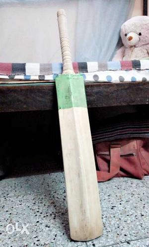 This is a kashmir willow bat the original price