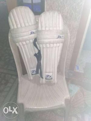 Zx Cricket pad only 5 month used