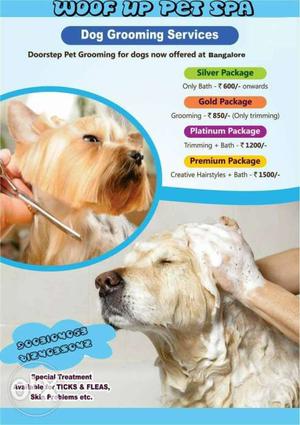 Doorstep pet Grooming services provided at best