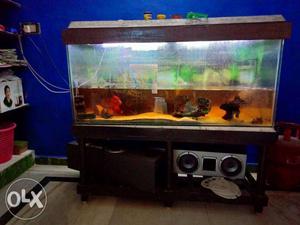 Fish tank for sale Cal me for more details