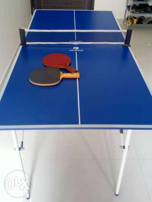 Table Tennis (Ping Pong) table (portable, in warranty)