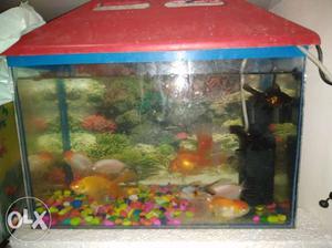 1 5ft tank for sale Complete tank with 10 fishes