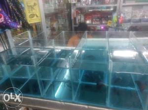 10 small boxes & 1 large box Tank for Betta fish.