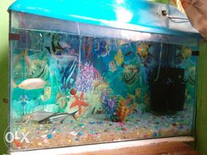 2/1,5 tank 60 ltr water and filter oxygen pump nd fishes