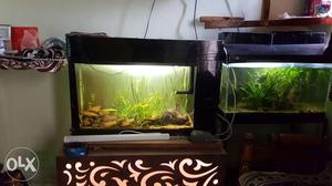 3 fit aquarium sell with filter light and plant