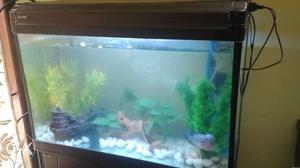 3feet imported aquarium without stand