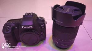 Canon 80D 24.2 MP with mm NANO USM LENS