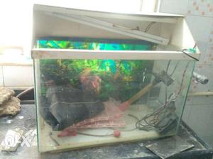 Fish Tank with light an shells