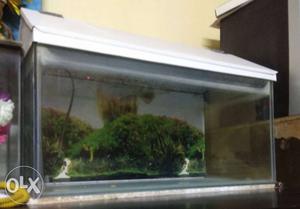 Fish tank with spunj filter pump.good condition.