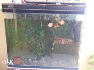 Imported fish tank with full kit move out sale