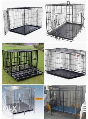 Needed Dog cage 4ft*5ft4.5ft Pahije ahe (Vikat