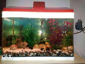 Aquarium Tank with fish